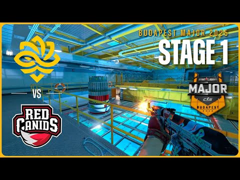 Legacy vs RED Canids - HIGHLIGHTS - StarLadder Budapest Major 2025 - STAGE 1 | CS2