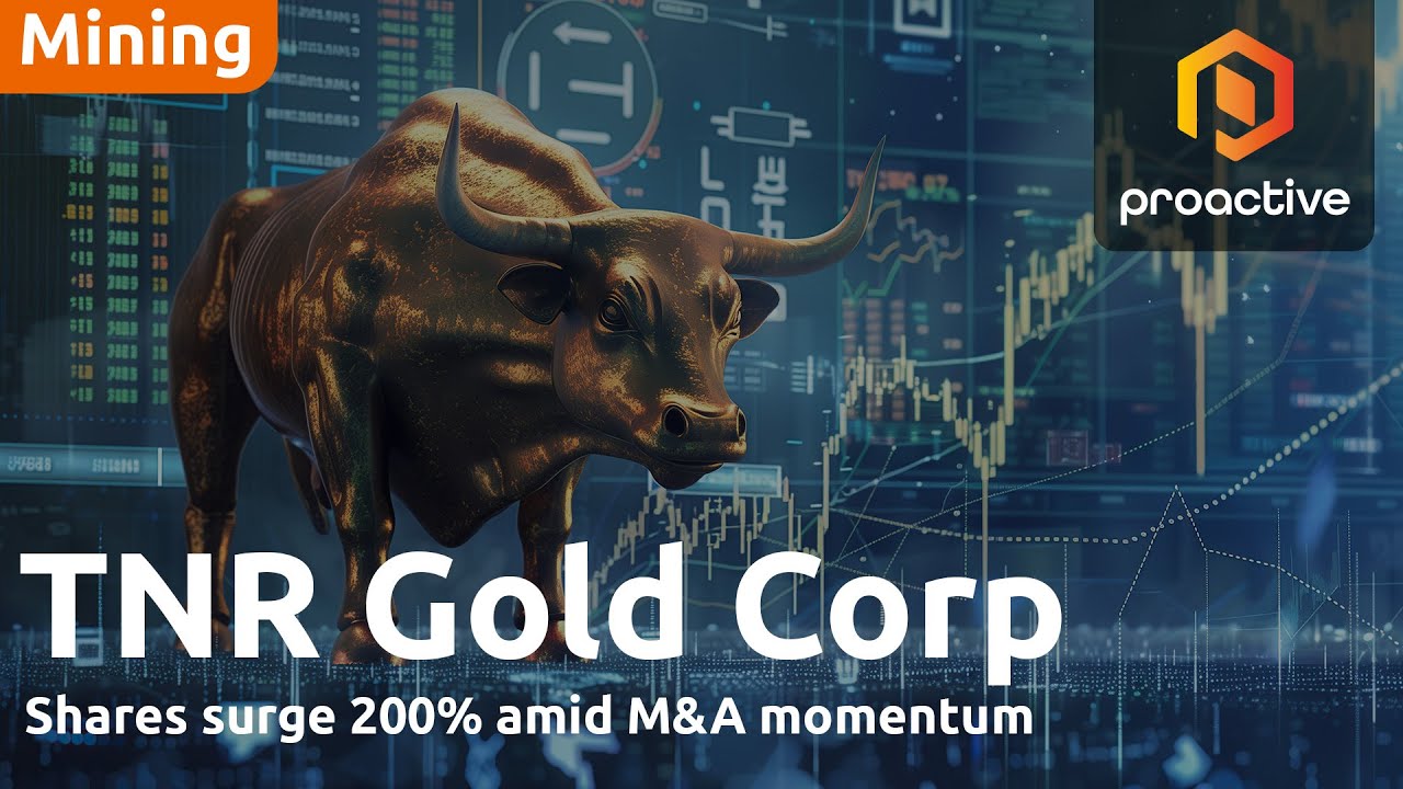 TNR Gold's Kirill Klip ascribes 200% share surge for 2025 to M&A momentum