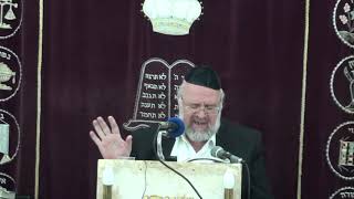 פרשת כי תצא תשע"ט - הרב ברוך רוזנבלום