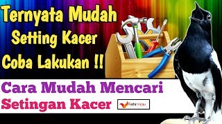 Download lagu CARA MENCARI SETINGAN KACER AGAR GACOR DAN NGOBRA mp3
