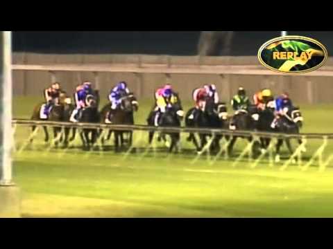 THE APACHE : DAILY NEWS 2000