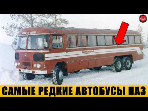 9 самых редких автобусов ПАЗ, о которых почти никто не знает.