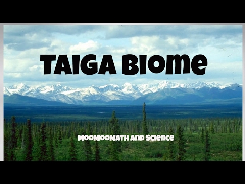 Taiga Biome Facts
