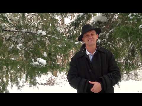 Bebe Dragomir  - Seara de Crăciun (Colindă)