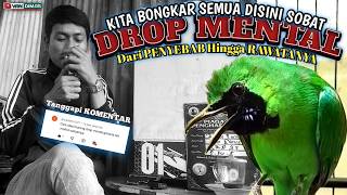 Download lagu BLAK-BLAKAN RAWATAN Cucak ijo DROP MENTAL‼️Kupas Tuntas Semua Disini mp3