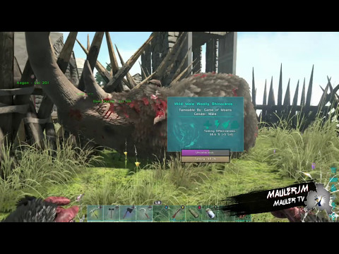 Ark - Primitive Plus - Easy Taming!!!