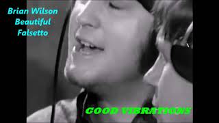 The Making good vibrations The Genius  of Brian Wilson