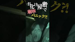 B&ZAI official【お化け屋敷】途中鳥さんいました？