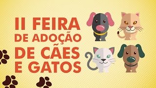 preview picture of video 'TV Paulista - Feira de adoção de cães e gatos'