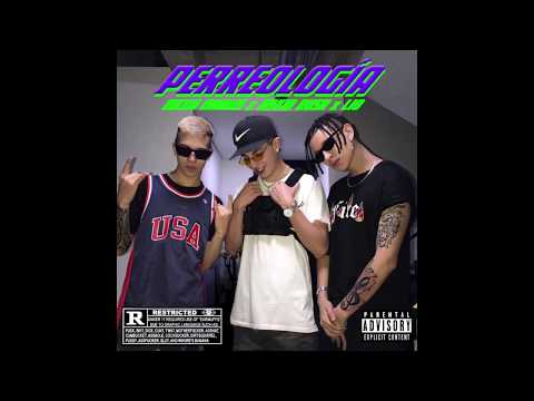 PERREOLOGIA - Nicko rooms x David rush x Lio