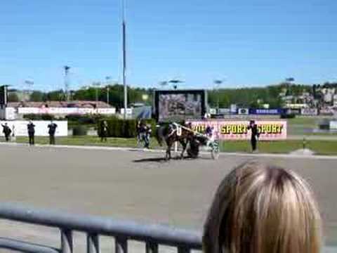 Varenne visar upp sig - Elitloppet 2008