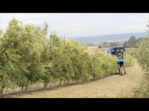Fotograma del vídeo: Imbatible en productividad
