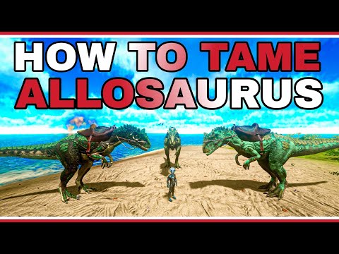 how to tame allosaurus ark mobile