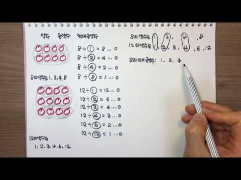 [청개구리유여사] 약수 공약수 최대공약수