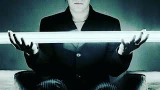 APOPTYGMA BERZERK - NEAR (BANILLA DREAM VERSION)