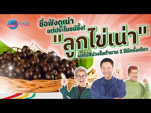 คลิกเพื่อดูคลิปวิดีโอ