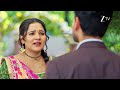 Vasudha Ep 383 Preview Nov 13 2025 Zee TV