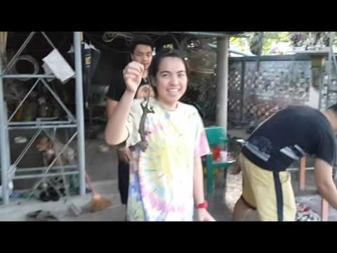 คลิกเพื่อดูคลิปวิดีโอ