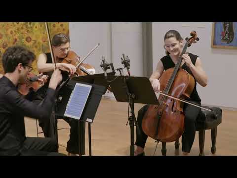 Matthew Quayle: String Quartet No. 3 - The Argus Quartet