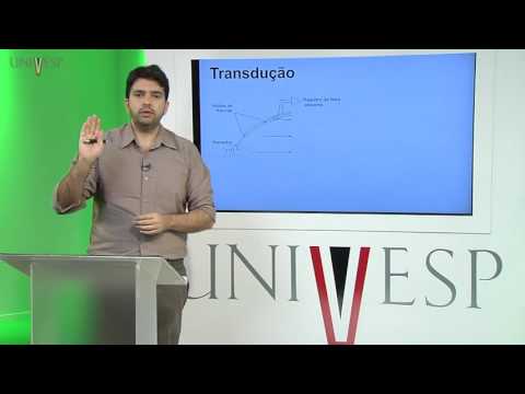 Human Body: Organs and Systems - Class 05 - Sensory Systems