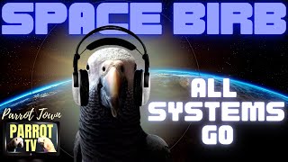 Space Birb | Cosmic Meditation Music for Birds [3+ hours] Parrot TV for Your Bird Room 🚀