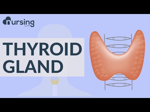 Understanding THYROID and PARATHYROID Glands (Nursing School Lessons)