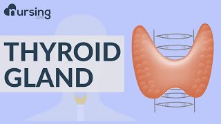 Understanding THYROID and PARATHYROID Glands (Nursing School Lessons)