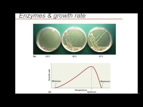UWO 12 Minute Biology Video Compilation