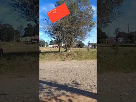 Em são Martinho da serra #shorts