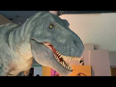 Museu Nacional de Ciências Naturais - Cidade de Taichung