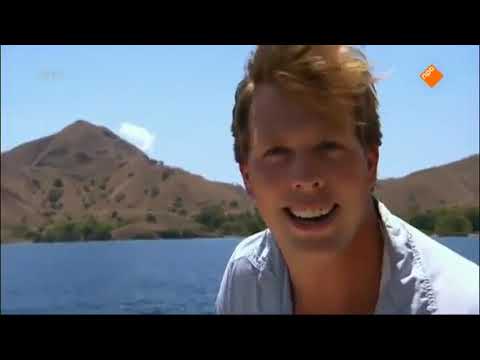 Freeks wilde wereld  Zeeschildpad en komodovaraan