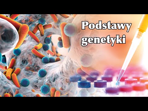 Wstęp do genetyki (klasa 8)