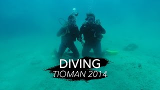 preview picture of video 'Tioman Day 2 | Diving (GoPro Hero3 Black)'