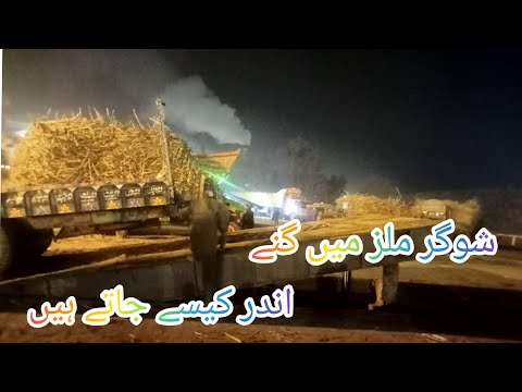 How do we count in sugar mills? #meravlog #sugarvlog