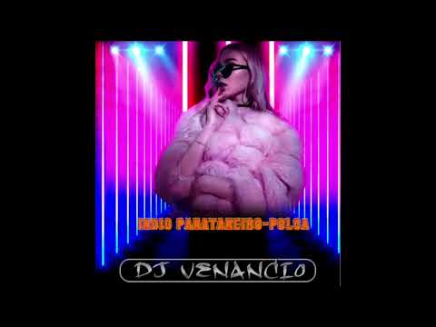 HA UVY JAVE EN VIVO INDIO PANTANEIRO