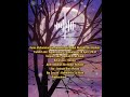 Biodata Nabi Muhammad S A W Shorts Rasulullah Maulidurrasul