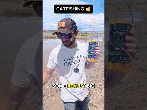 Black Powder Fishing. Noodling catfish with Felix Firth