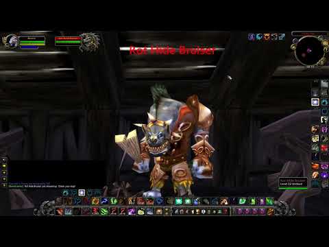 Who is Rot Hide Bruiser - WoW Classic WOTLK rare spawns