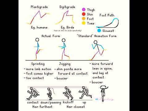 Run Cycle Bipeds - Animation Tutorial #animation