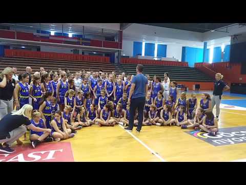 A ZTE NKK nagy családja