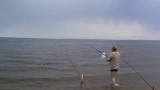 Ссылка