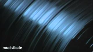 Trans Motion - Whales World