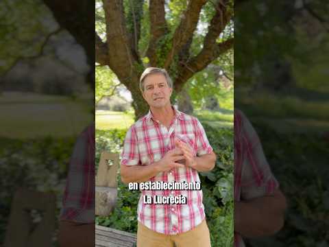 #ipcva #carneargentina #jornadaacampo #inta #lalucrecia #hereford #campo #vacas #entrerios