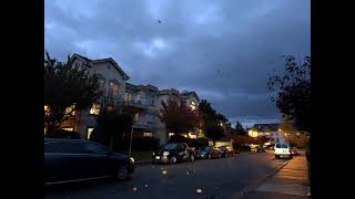 Delta Lapse (Time-lapse)