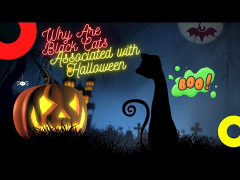 LEARN WHY HALLOWEEN IS ASSOCIATED WITH BLACK CATS!