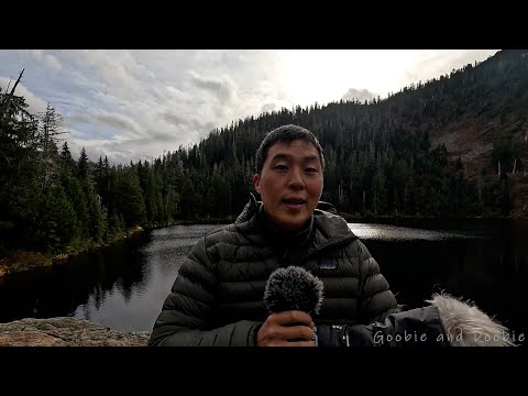 Letting Go of Attachment to Outcomes