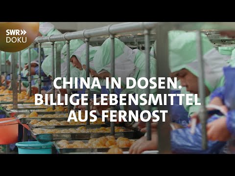 Cheap food from the Far East - China in cans | SWR documentary