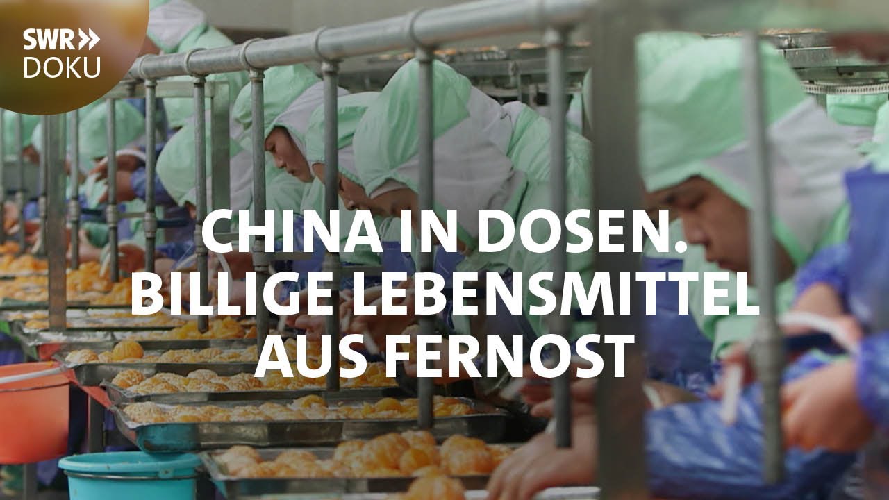 Billige Lebensmittel aus Fernost - China in Dosen | SWR Doku