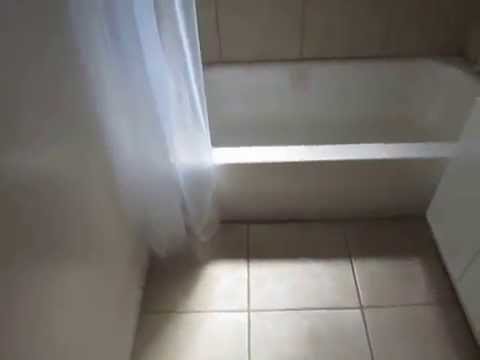 PL4076 - 1 Bed + 1 Bath for Rent (Inglewood, CA)