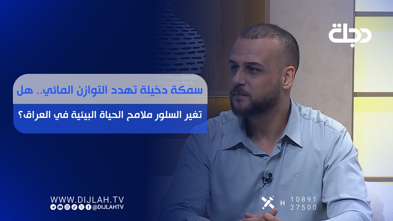 فيديو | سمكة دخيلة تهدد التوازن المائي.. هل تغير السلور ملامح الحياة البيئية في العراق؟